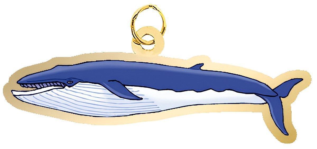 Whale - Blue Charm