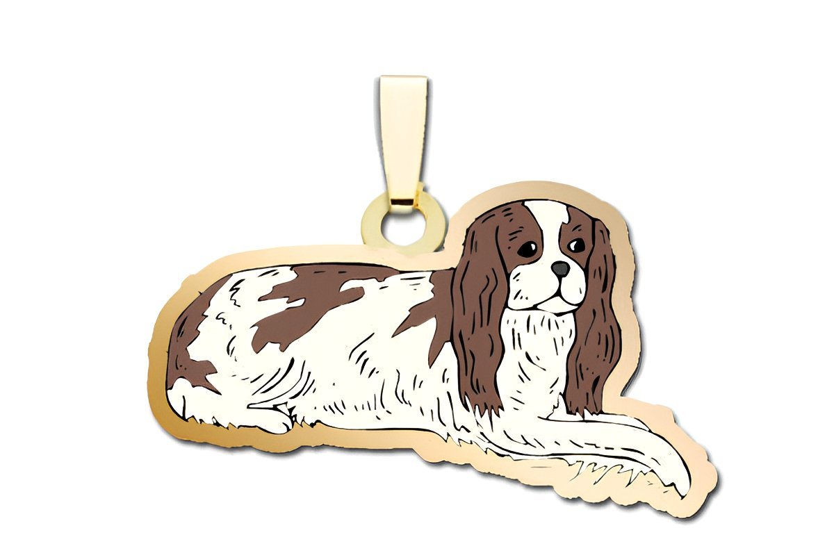 Dog - King Charles Cavalier Spaniel Charm
