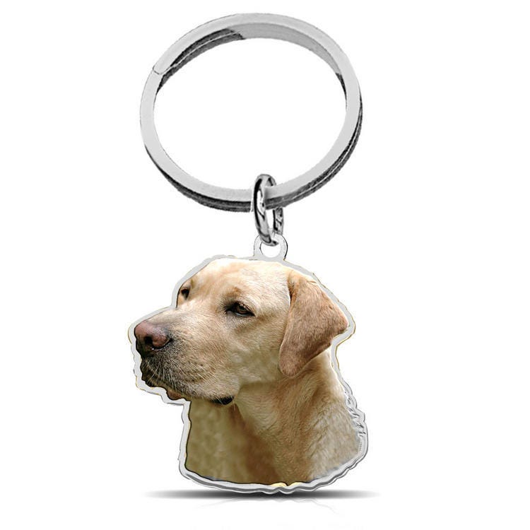 Yellow Labrador Retriever Color Dog Key Chain