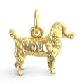 Jack Russell Terrier Dog