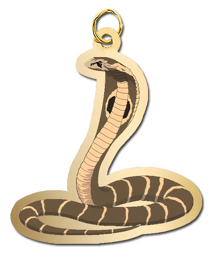 Snake - Cobra Charm
