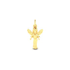 Fairy Charm