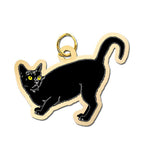 Cat - Black Charm