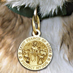Saint Francis Of Assisi Protect My Dog Pet Tag