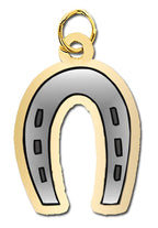Horseshoe Charm