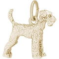 Dog Airedale
