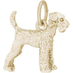 Dog Airedale