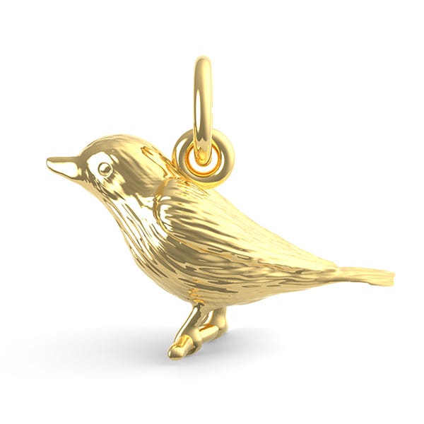 Robin Bird Charm