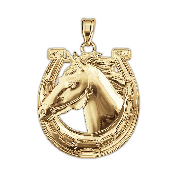 Race Horse & Horseshoe Horse Pendant or Charm