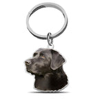 Black Labrador Retriever Color Dog Key Chain