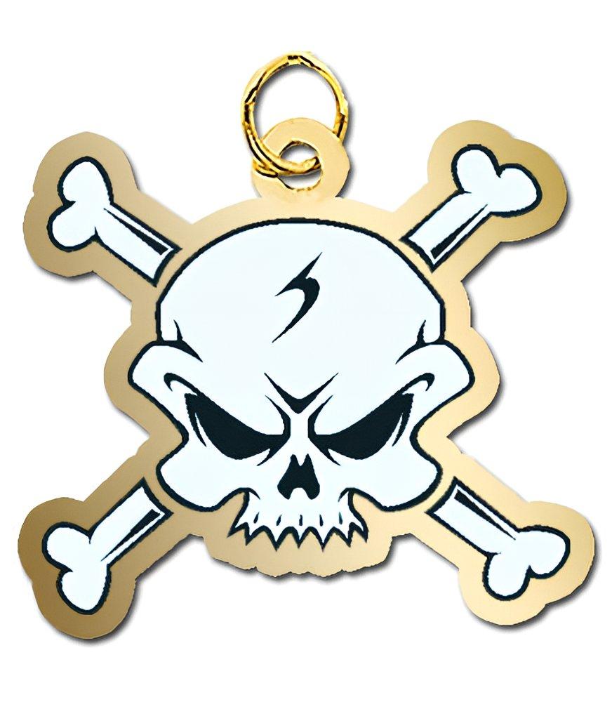 Crossbones Charm