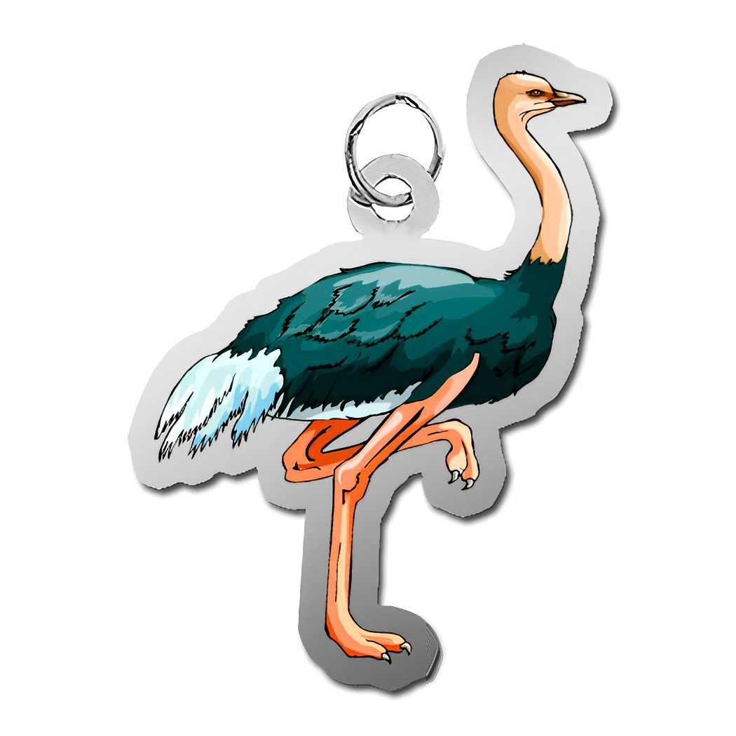 Ostrich Charm