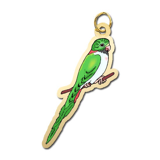 Parakeet Charm