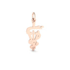 7934-Silver-Veterinarian