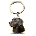 Black Labrador Retriever Color Dog Key Chain