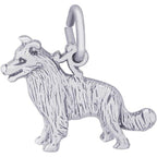 Border Colllie Dog