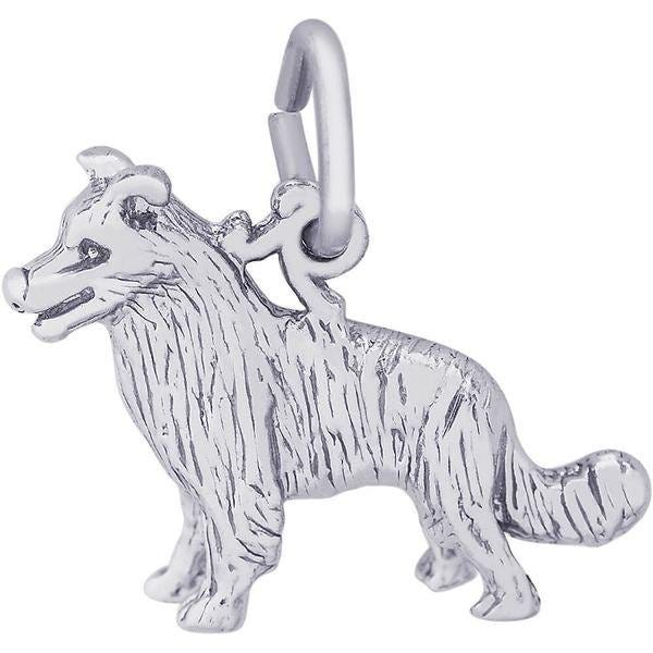 Border Colllie Dog