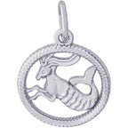 Capricorn