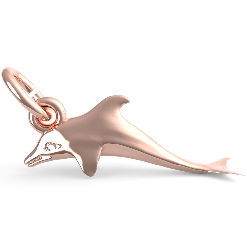 Dolphin Accent Charm (5585)