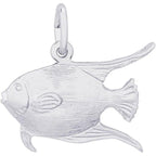 Fish Angelfish