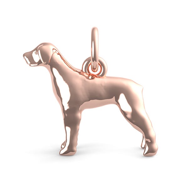 Rottwieler Dog Charm