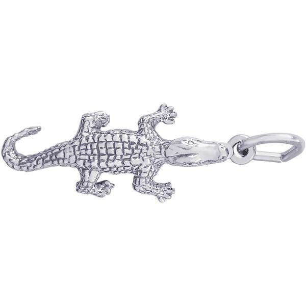 Alligator