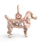 Jack Russell Terrier Dog