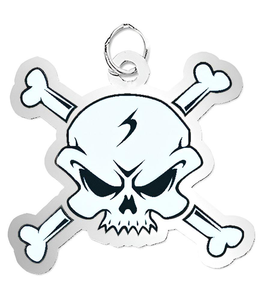 Crossbones Charm