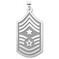 Unites States Air Force Command Chief Master Sergeant Pendant