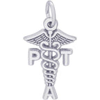 Pt Assistant