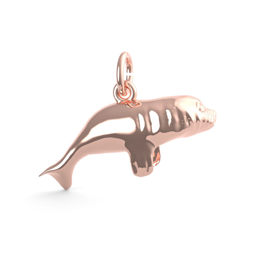 Manatee Charm