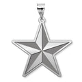 U.S AirForce National Guard Brigadier General Pendant