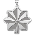 US Army National Guard  Lieutenant Colonel Pendant
