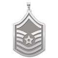 U.S AirForce National Guard  Master Sergeant Pendant