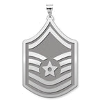 U.S AirForce National Guard  Master Sergeant Pendant