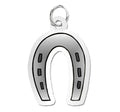 Horseshoe Charm