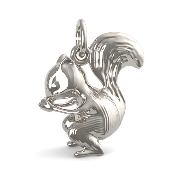 Squirrel Charm
