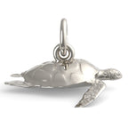 Sea Turtle