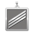 Unites States Navy Seaman Pendant