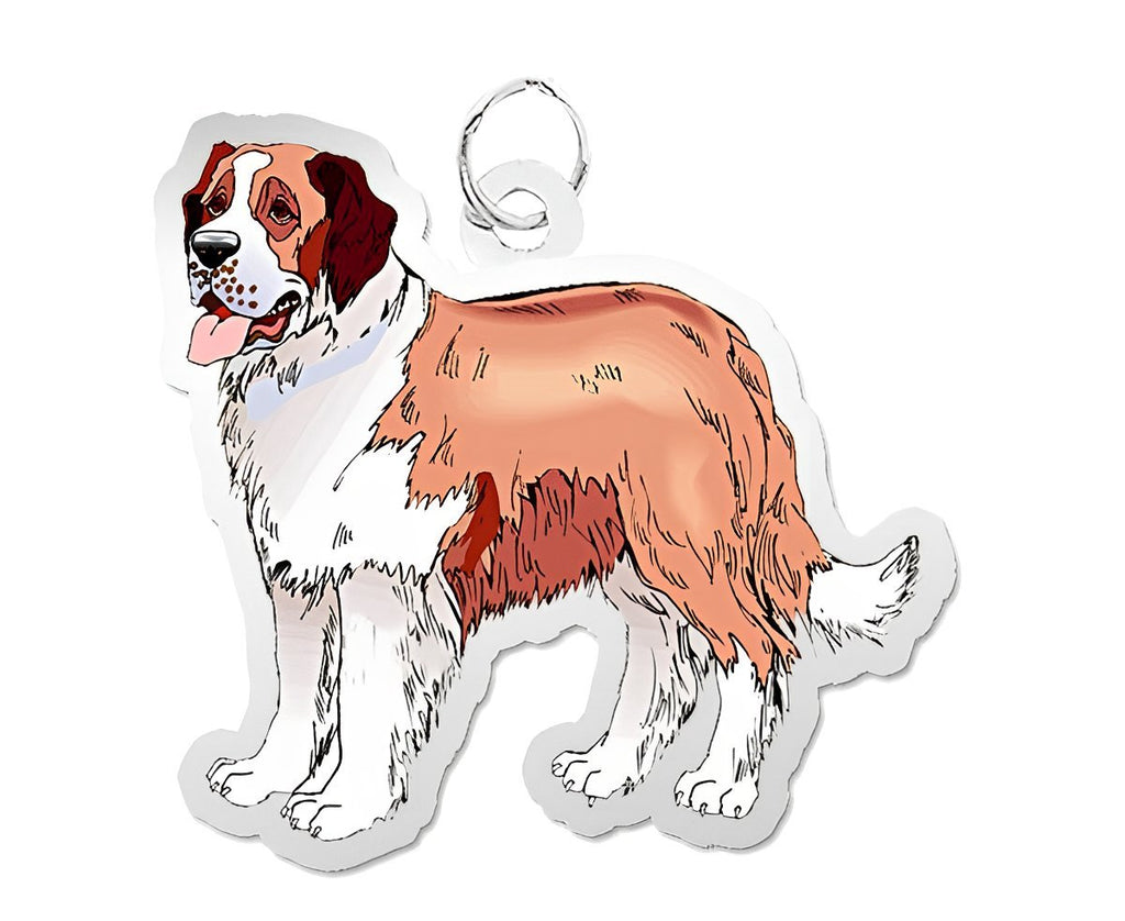 Dog - St. Bernard Charm