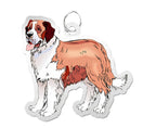 Dog - St. Bernard Charm