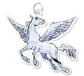Pegasuscharm