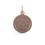 Baptism Disc Charm