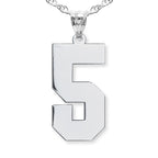 High Polished Single Digit Number Charm or Pendant
