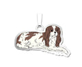 Dog - King Charles Cavalier Spaniel Charm