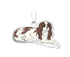 Dog - King Charles Cavalier Spaniel Charm