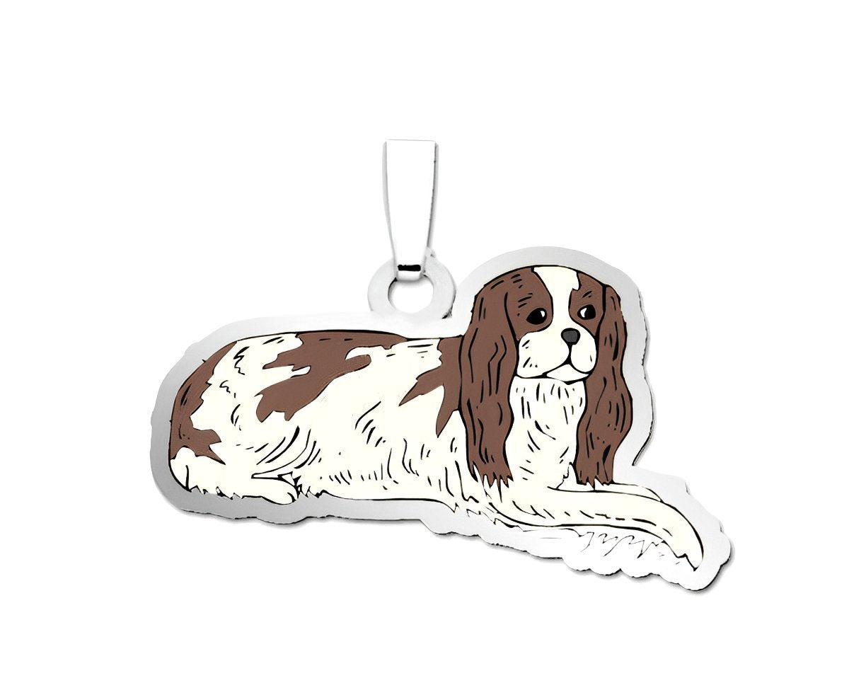 Dog - King Charles Cavalier Spaniel Charm