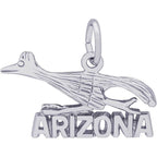 Arizona Road Runner