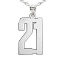 Number Charm or Pendant with 2 Digits