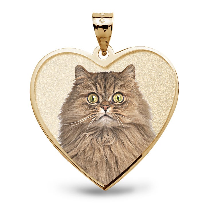 Memorial Heart With Border Photo Pendant Picture Charm